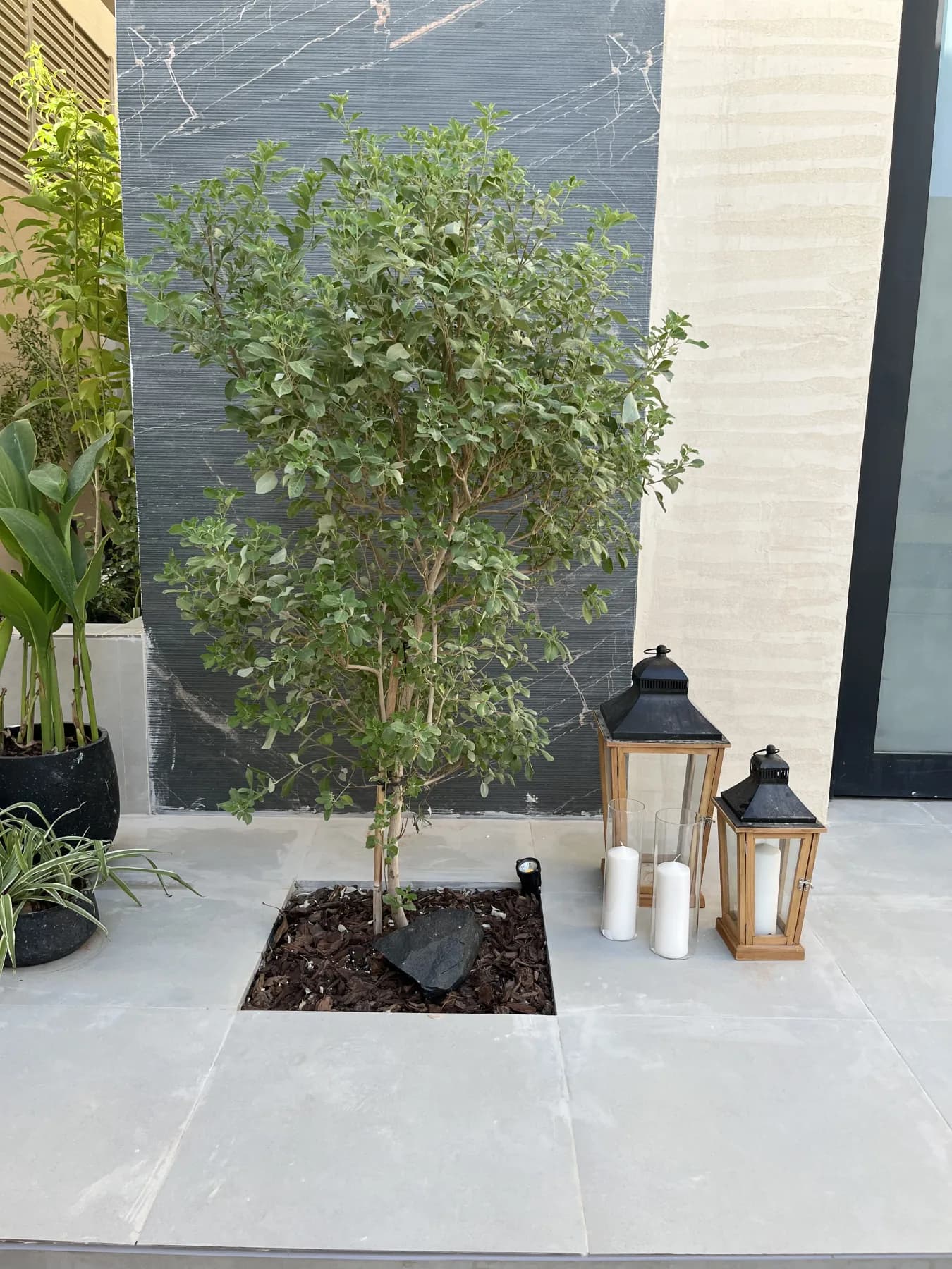 Material and landscape detail from a completed site